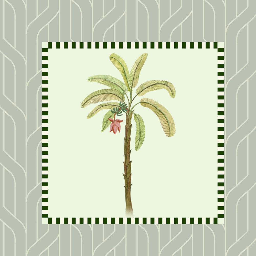 Palm grove Duo