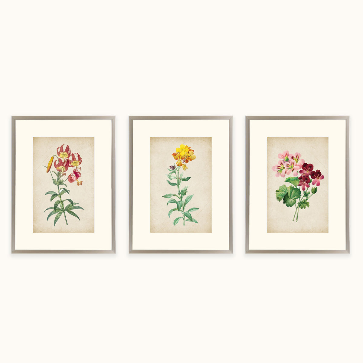 Vintage Flora