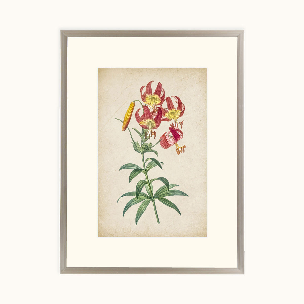 Vintage Lily wall art