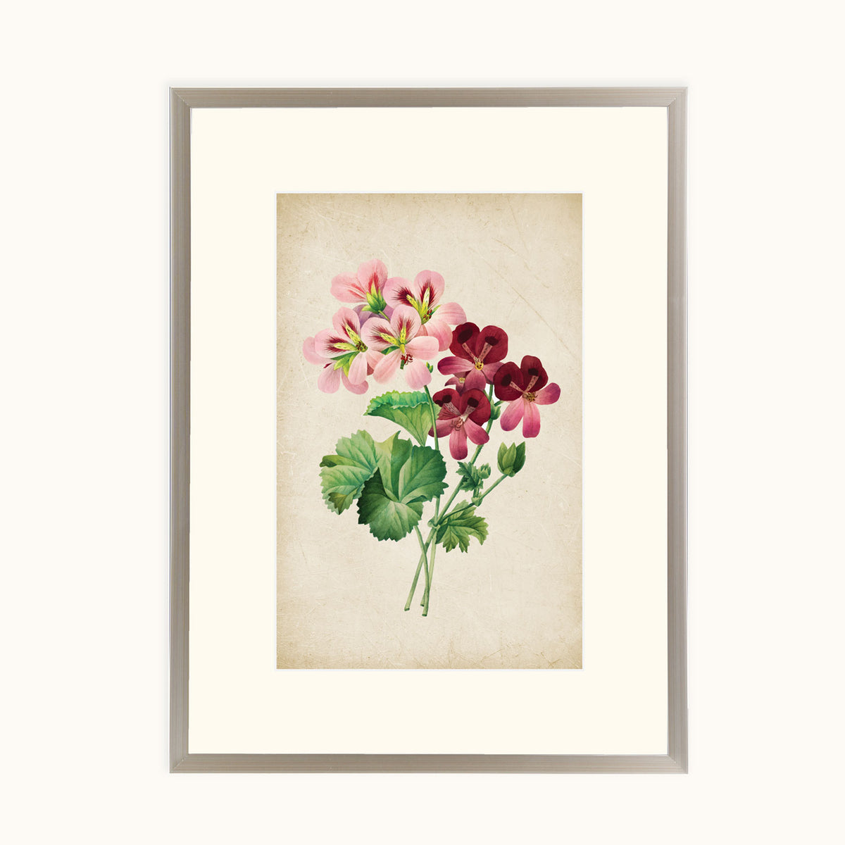 Vintage Geranium Blooms Wall Art