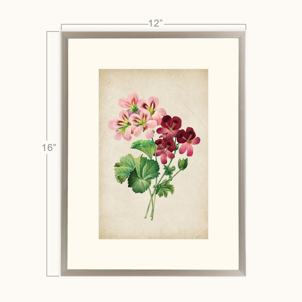 Vintage Geranium Blooms Wall Art