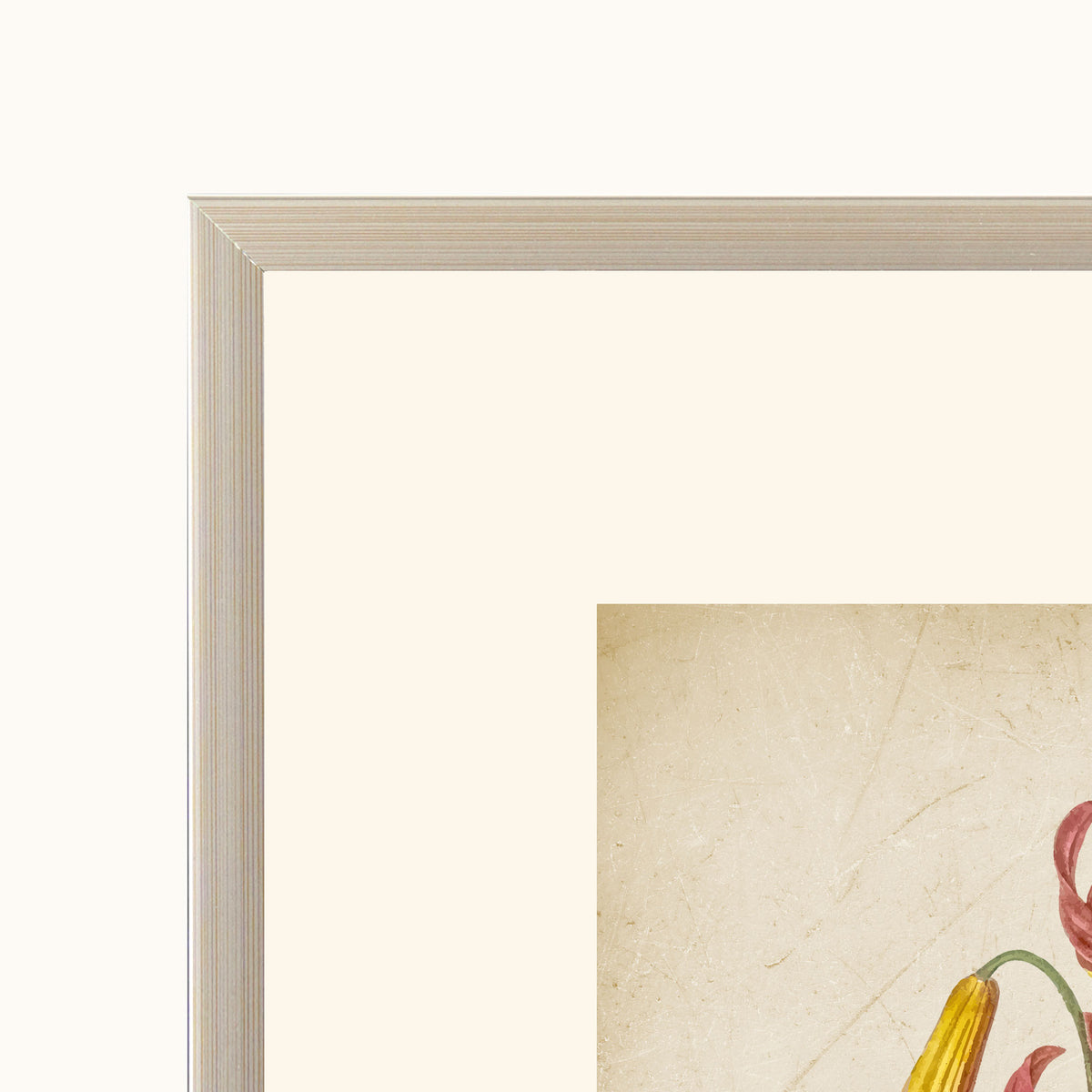 Close-up view of the Vintage Flora botanical illustration