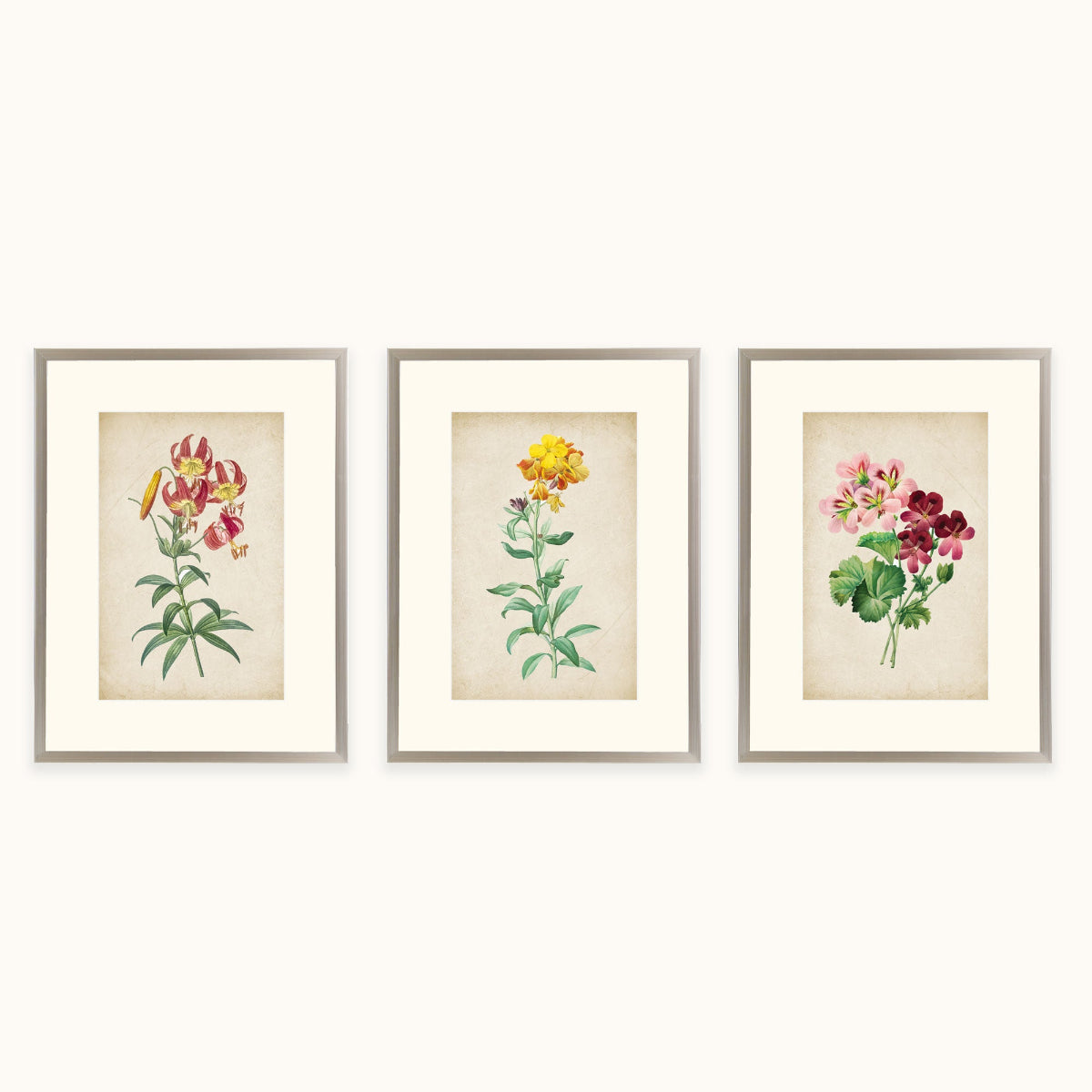 Three framed botanical art with vintage-style flower illustrations are displayed side by side on a light beige wall.