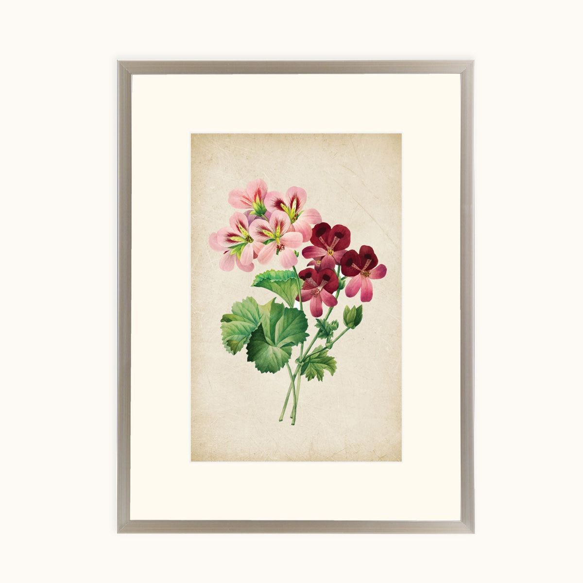 Vintage Geranium Blooms framed botanical illustration featuring pink and burgundy flowers with green foliage