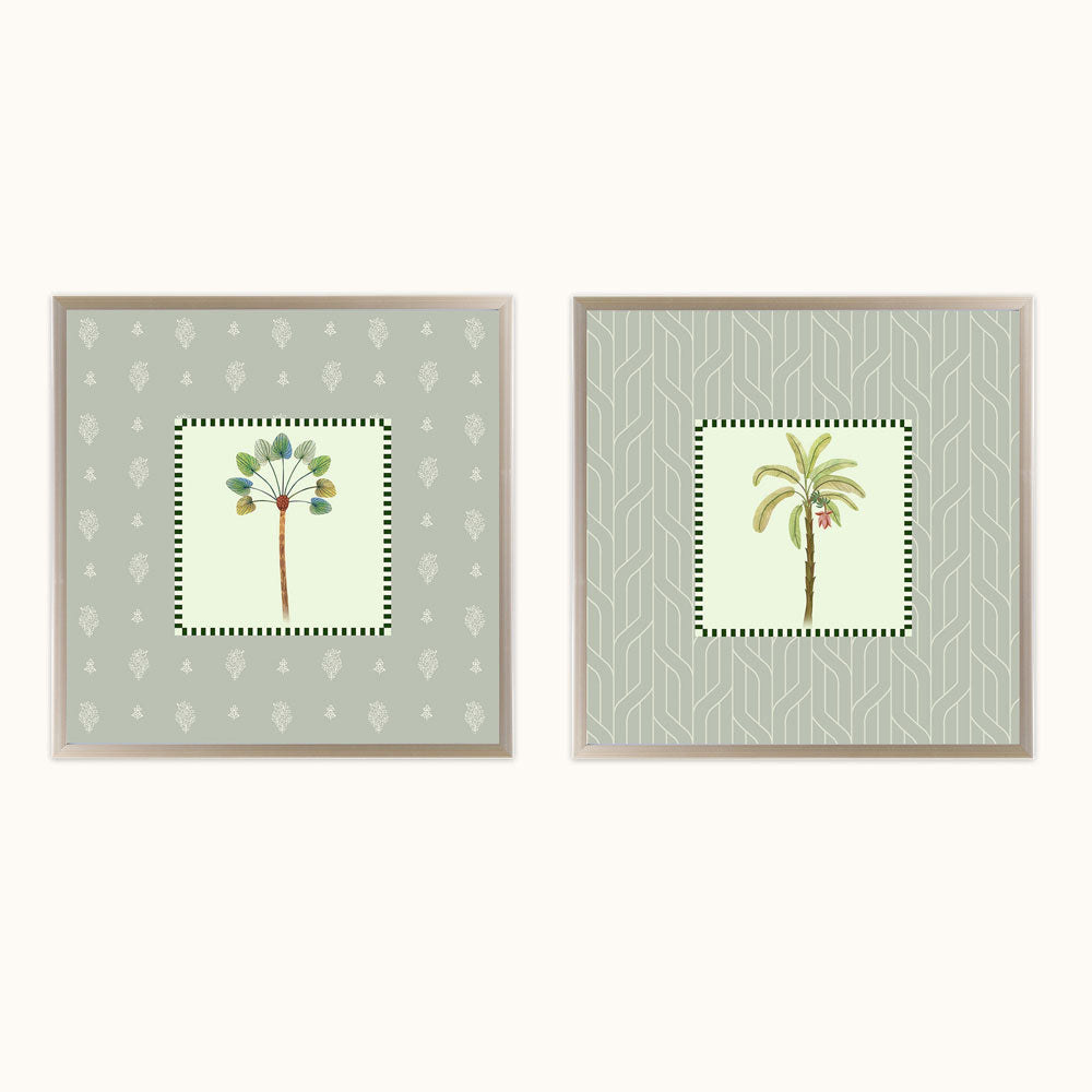 Palm grove Duo