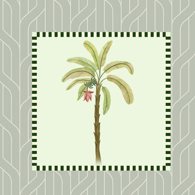 Palm grove Duo