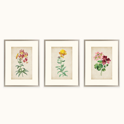Vintage Flora
