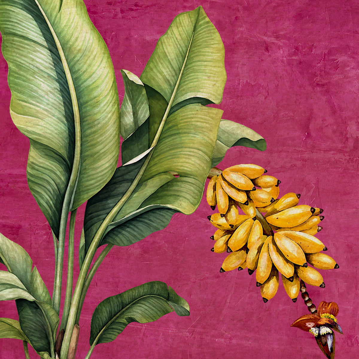 Banana Botanica wall art