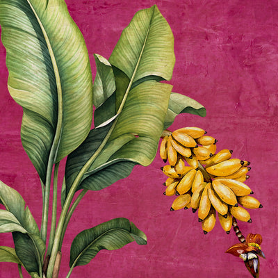 Banana Botanica wall art