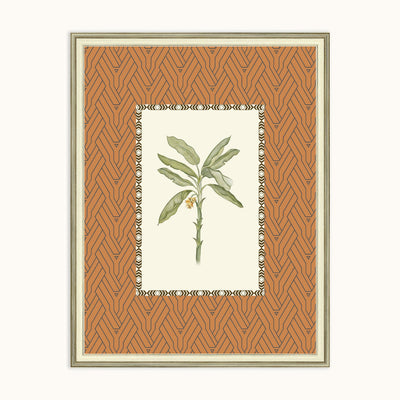 A framed botanical art frame featuring a green leafy plant with a small yellow flower, set against a patterned terracotta background with a cream border.