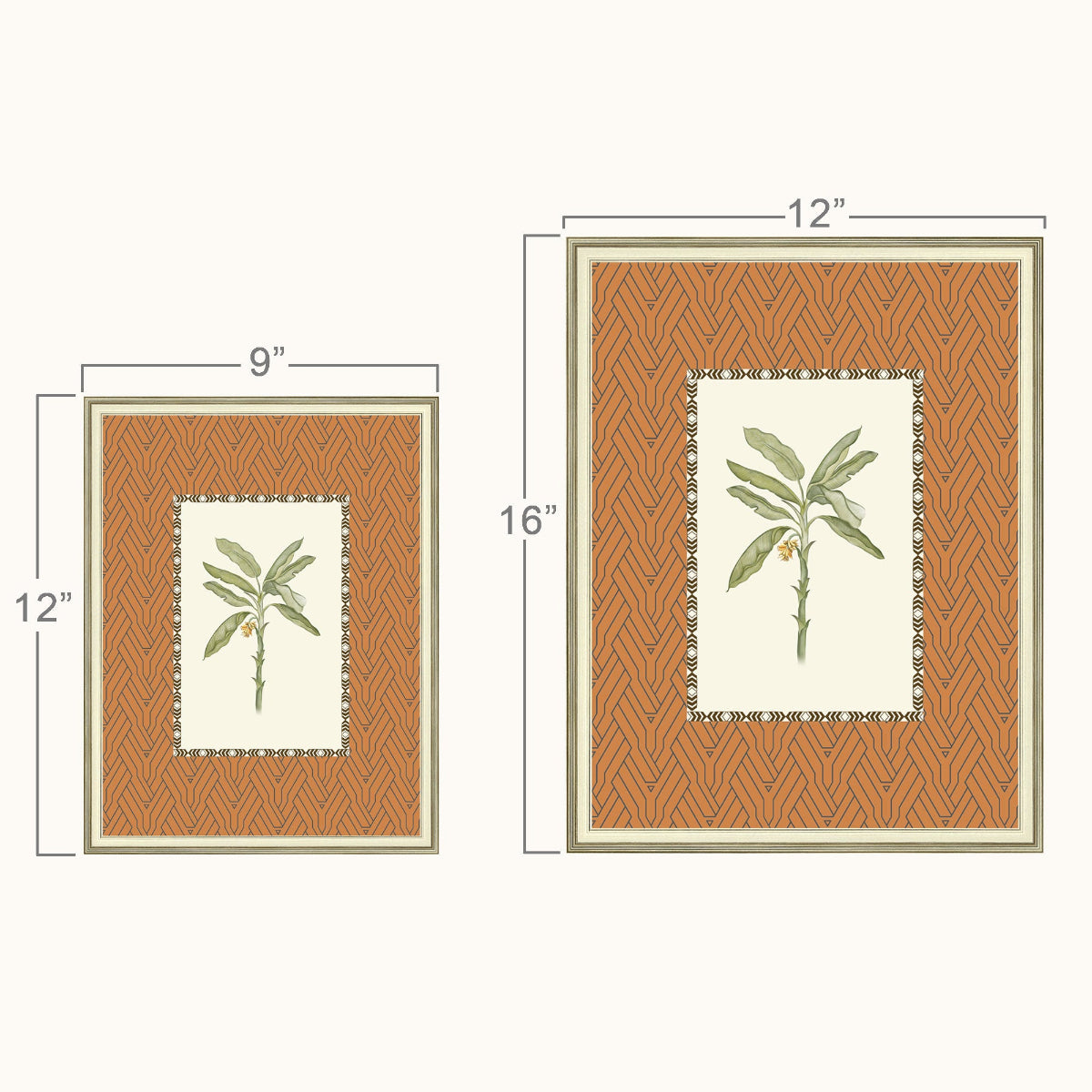 Two framed botanical art frame shown on a light beige background with dimension lines. The smaller print is 9 by 12 inches and the larger print is 12 by 16 inches.