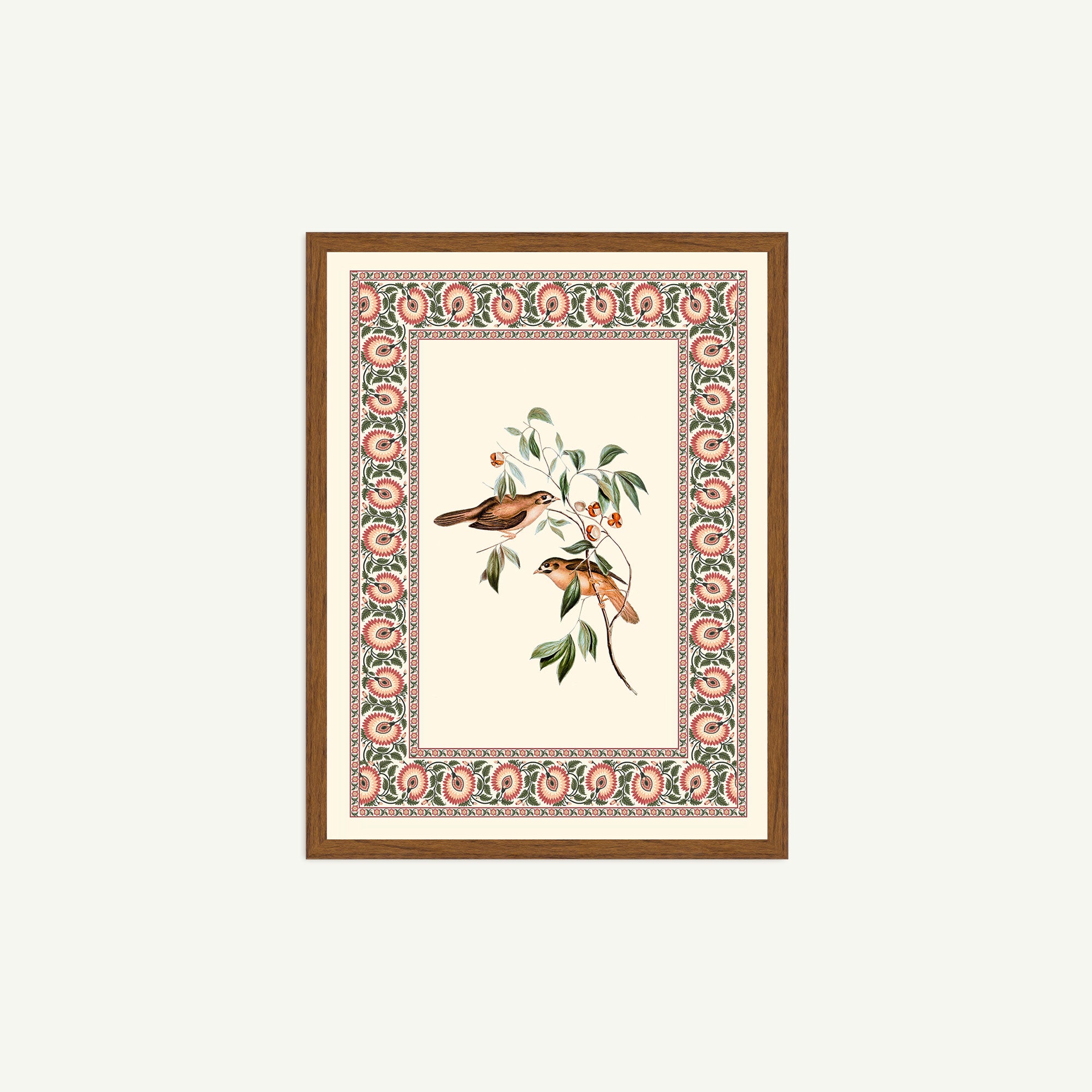 Birds Of The Bagh