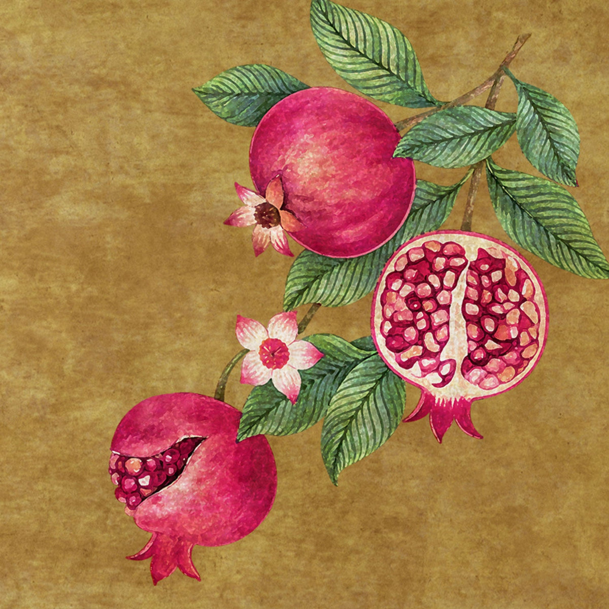 Botanical illustration of pink pomegranates, cut pomegranate seeds, blossoms and green leaves on an earthy background