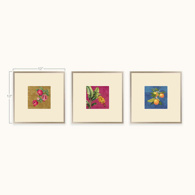 Fruits of Nature framed fruit wall art size illustration showing the dimensions marked on the frame