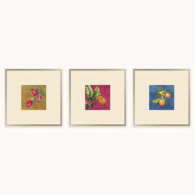 Fruits of Nature wall art