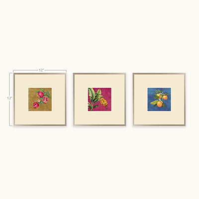 Fruits of Nature wall art