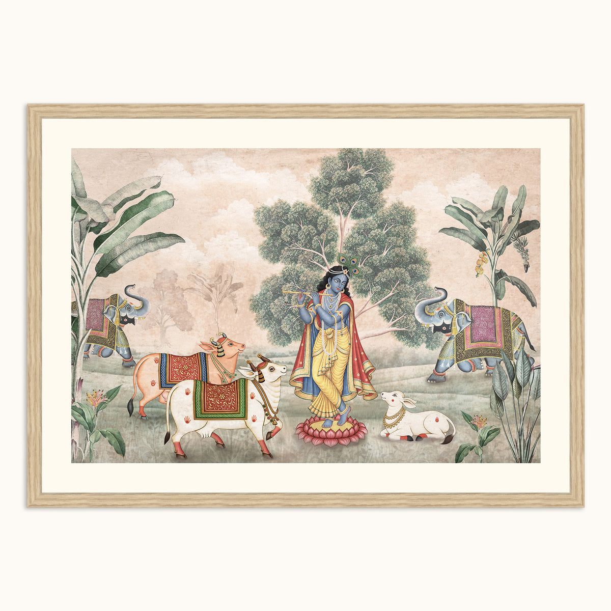 Kanha darshan