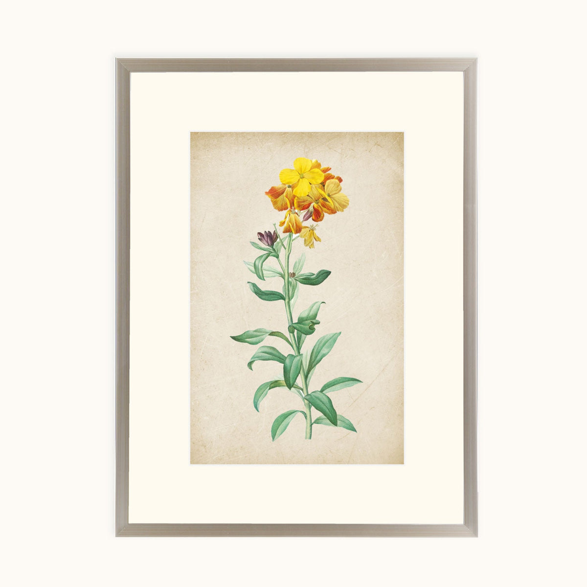 Phoolwari framed botanical illustration featuring golden-yellow flowers and green foliage on a cream background