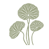 pichhwai lotus leaf wall art frame