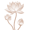 pichhwai lotus wall art frame