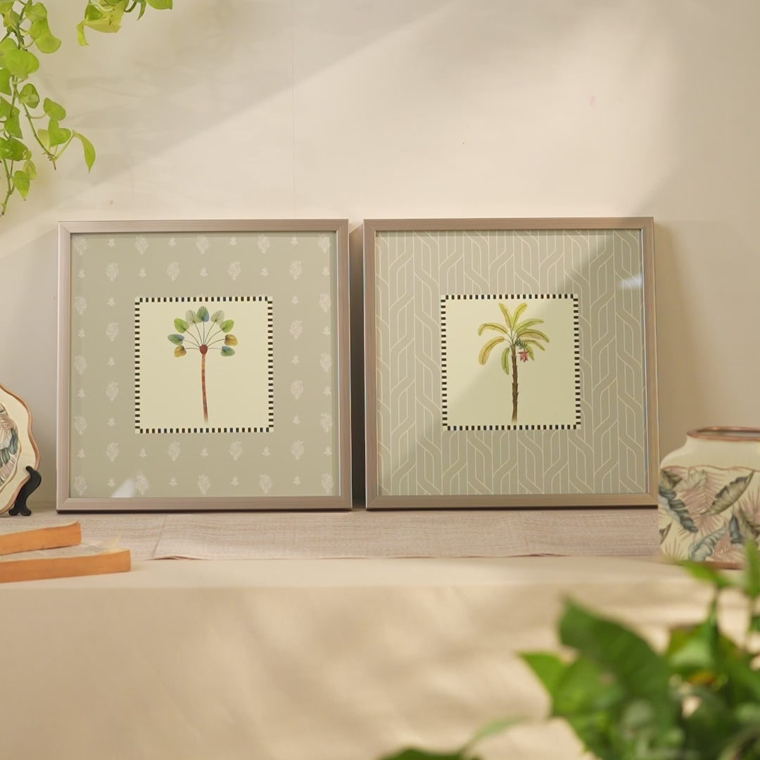 Load video: Palm grove Duo