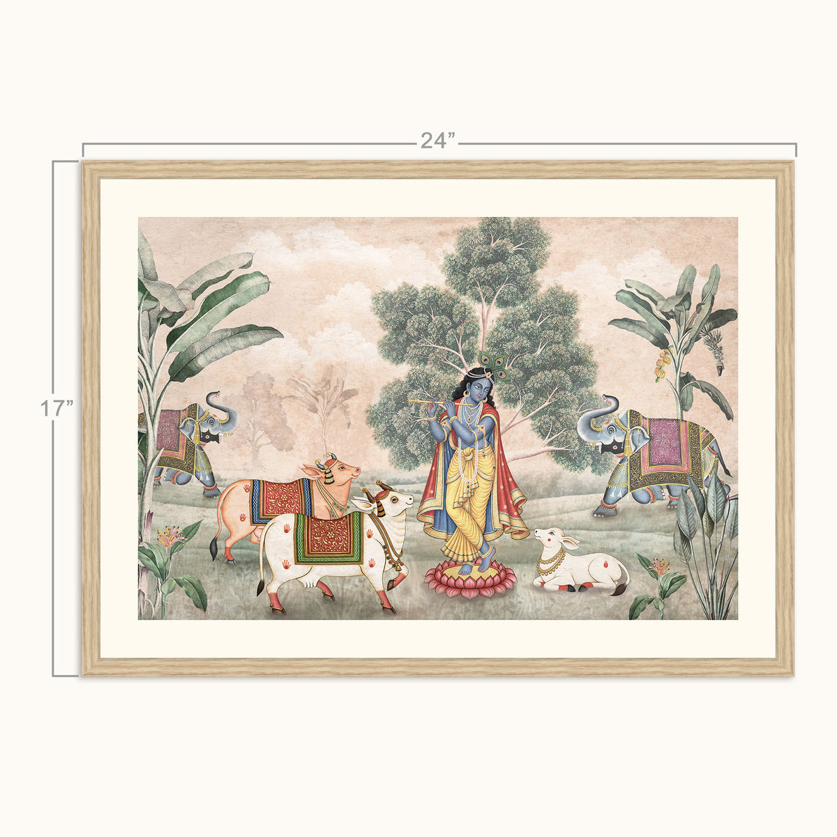 Kanha darshan