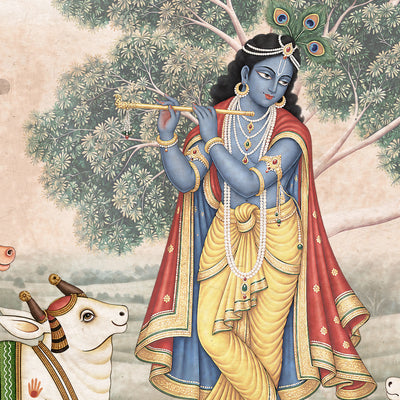 Kanha darshan
