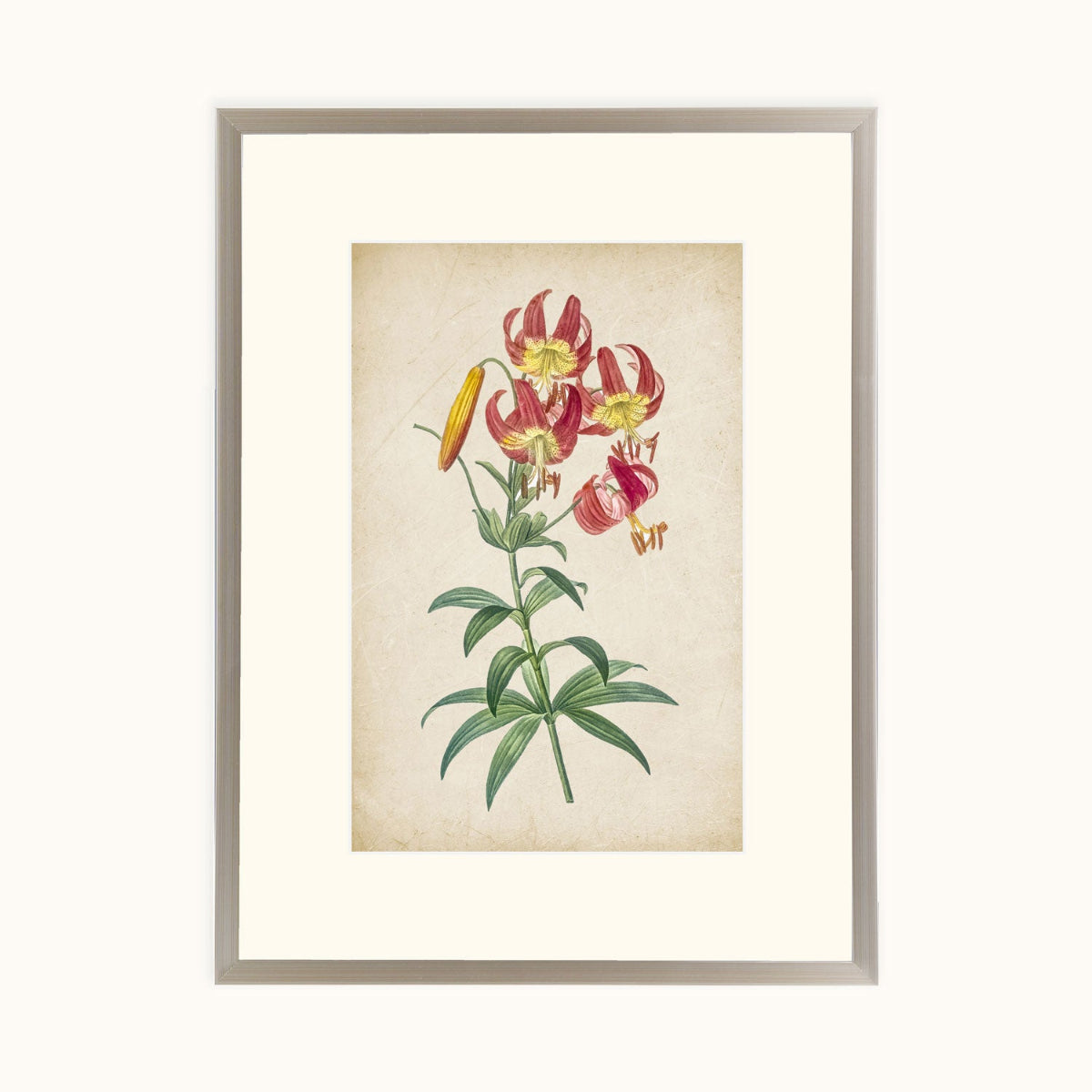 Vintage Lily framed botanical illustration featuring pink lilies and green foliage on a cream background